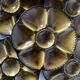Vintage ceramic oyster plates from Gien