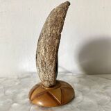 Vintage abalone shell lamp