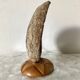 Lampe vintage coquillage ormeau