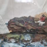 Model boat in bottle