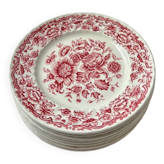 9 dessert plates Ridgway Ironstone Staffordshire England Clifton