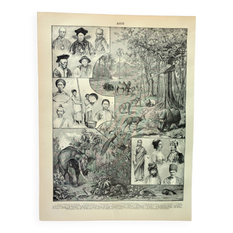 Gravure • Asie: tribu, faune et flore • Lithographie originale et vintage de 1898