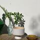 Ethnic standing cup in white glazed ceramic vintage vase