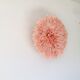 Pink Jujuhat 50 cm