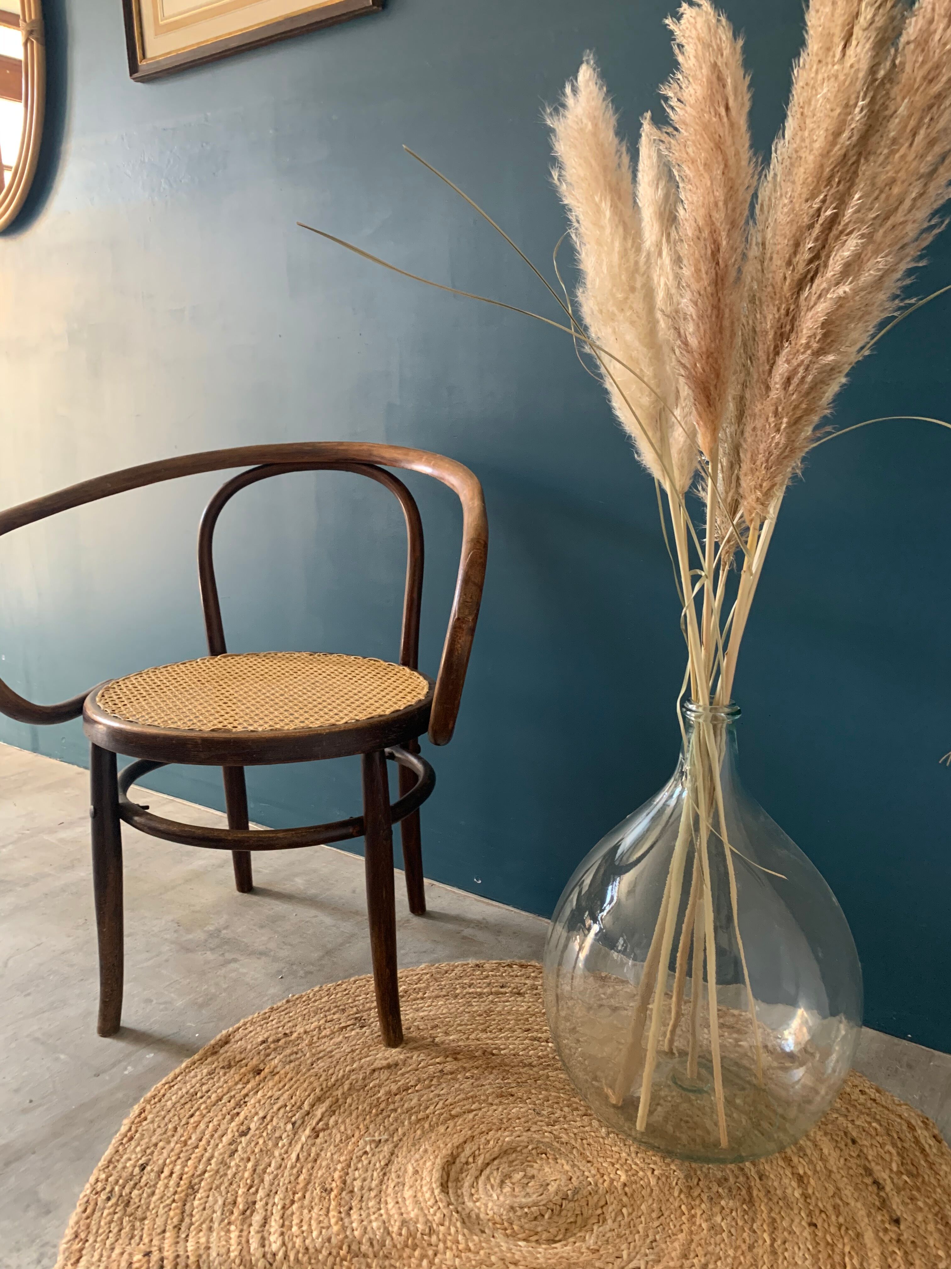 Mundus chair in curved wood