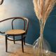 Fauteuil Mundus en bois courbé