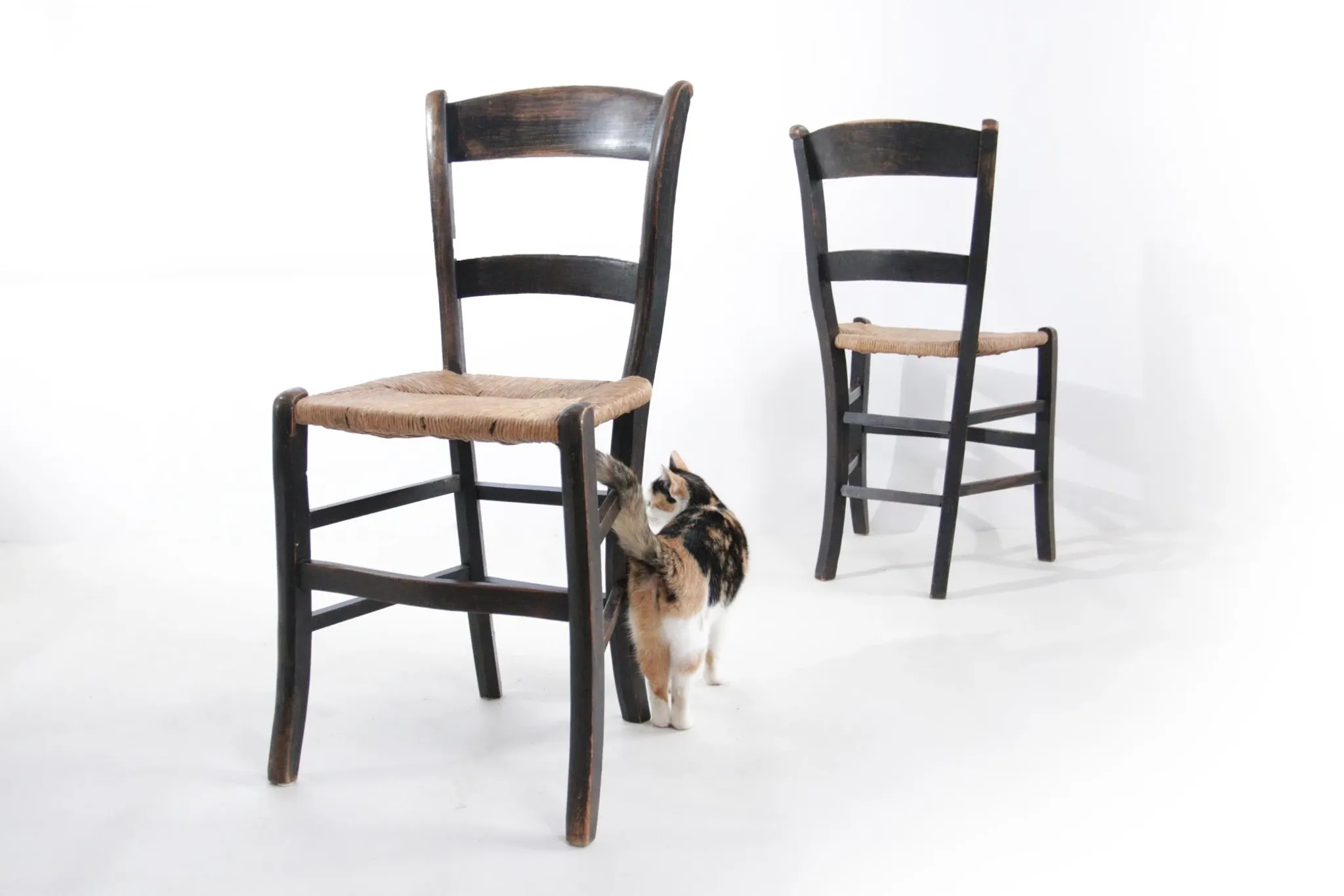 Set of 2 rustic French chairs with rush seats