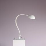 1970s “Flex” floor lamp by Elio Martinelli for Martinelli, Italy