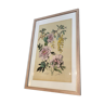 Lithography flowers from 1890
