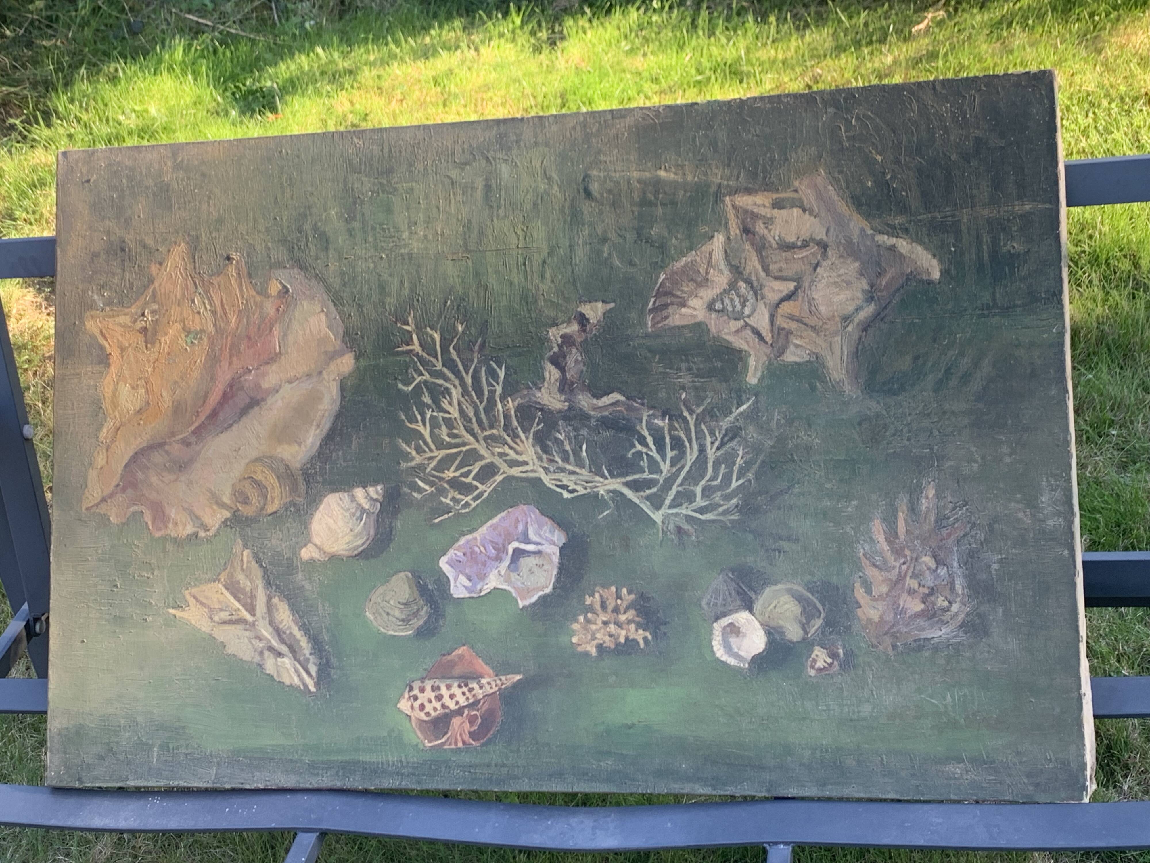 Large painting of shells, cabinet of curiosities, sign, vintage