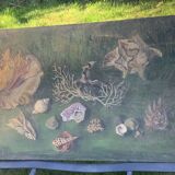 Large painting of shells, cabinet of curiosities, sign, vintage