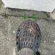 Stool