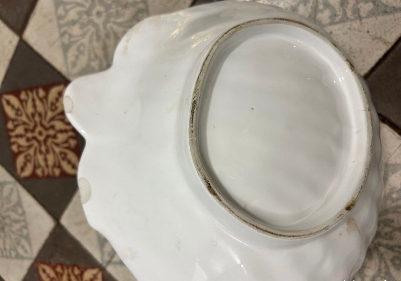 Vide poches coquillage anciens