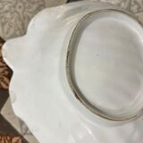 Empty old shell pockets