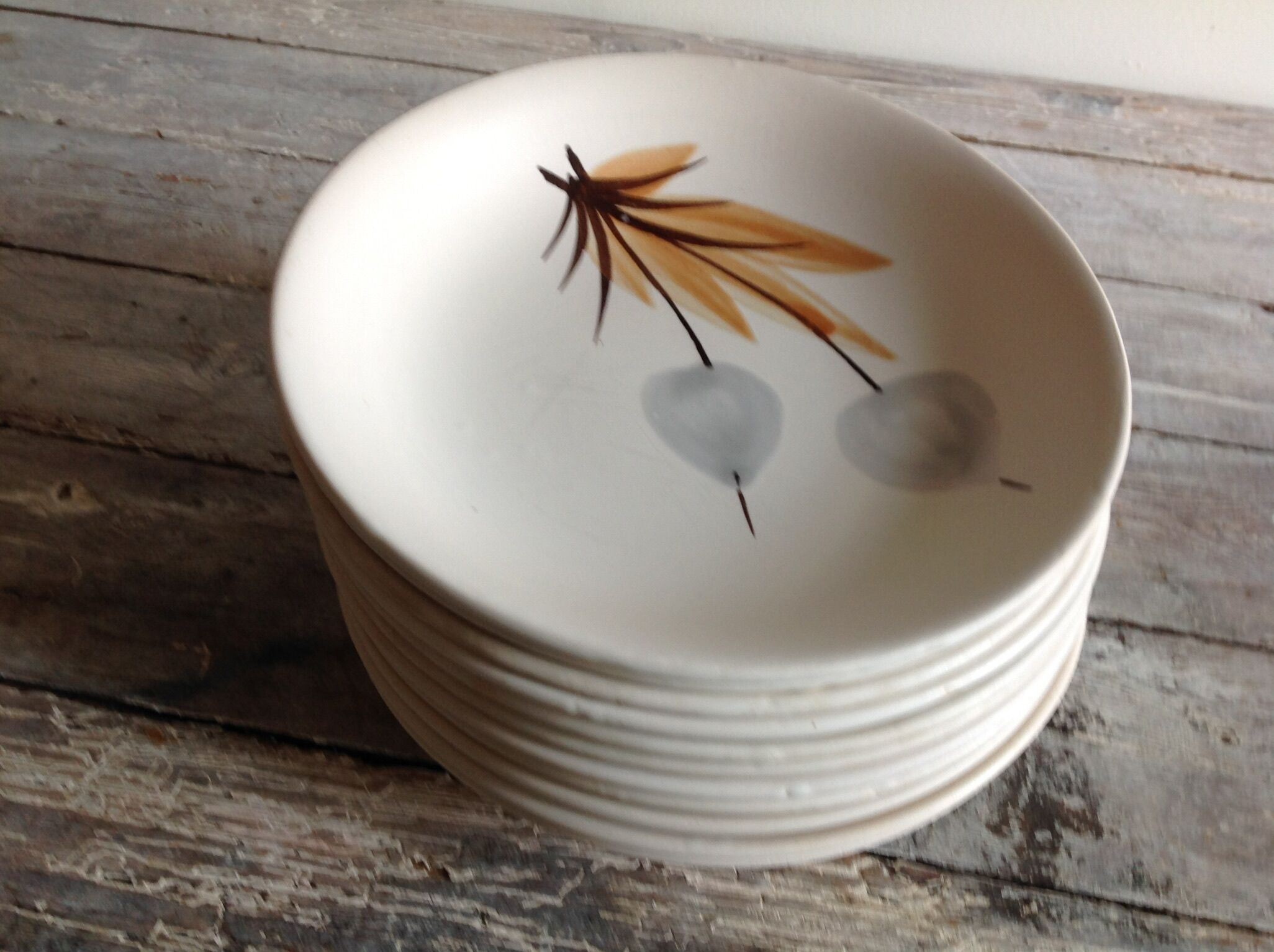 Set of 11 soup plates