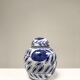 Vase à gingembre en porcelaine