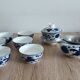 Gaiwan traditional chinese tea set in blue and white porcelain