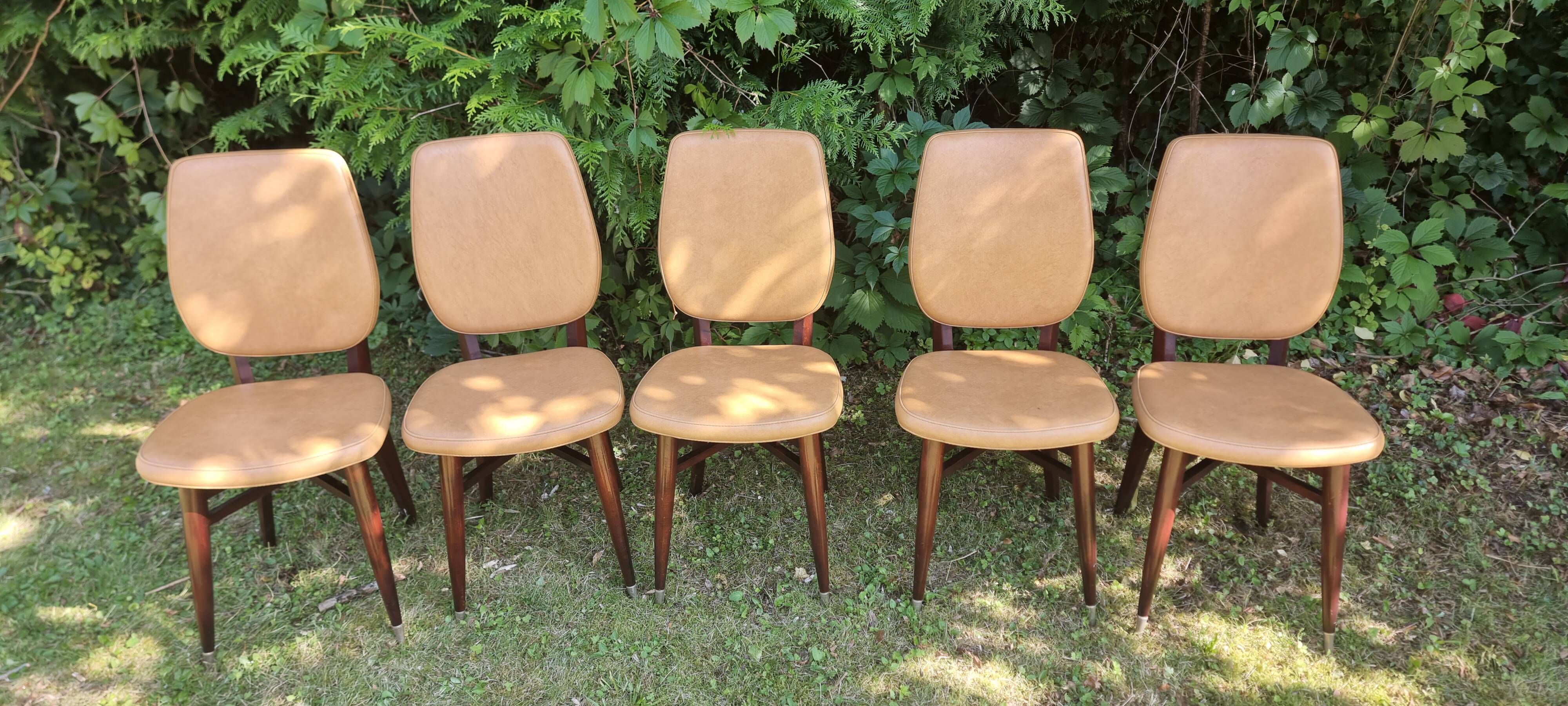 Set of 5 vintage chairs from the 50s
