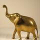Brass elephant 13 cm