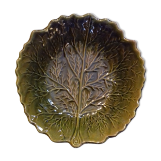 Flat green dabbling salad bowl