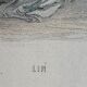 Framed engravings "animated flowers" - JJ Grandville