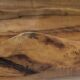 Sculptural cut solid walnut vintage monoxyl