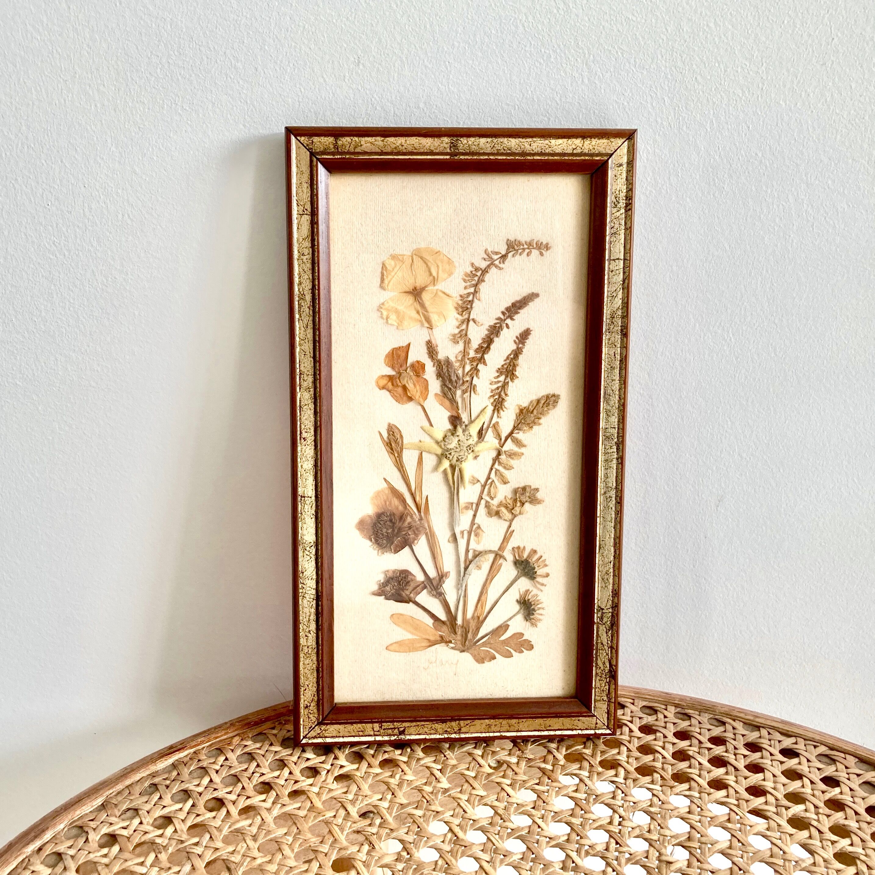 Botanical herbarium framed