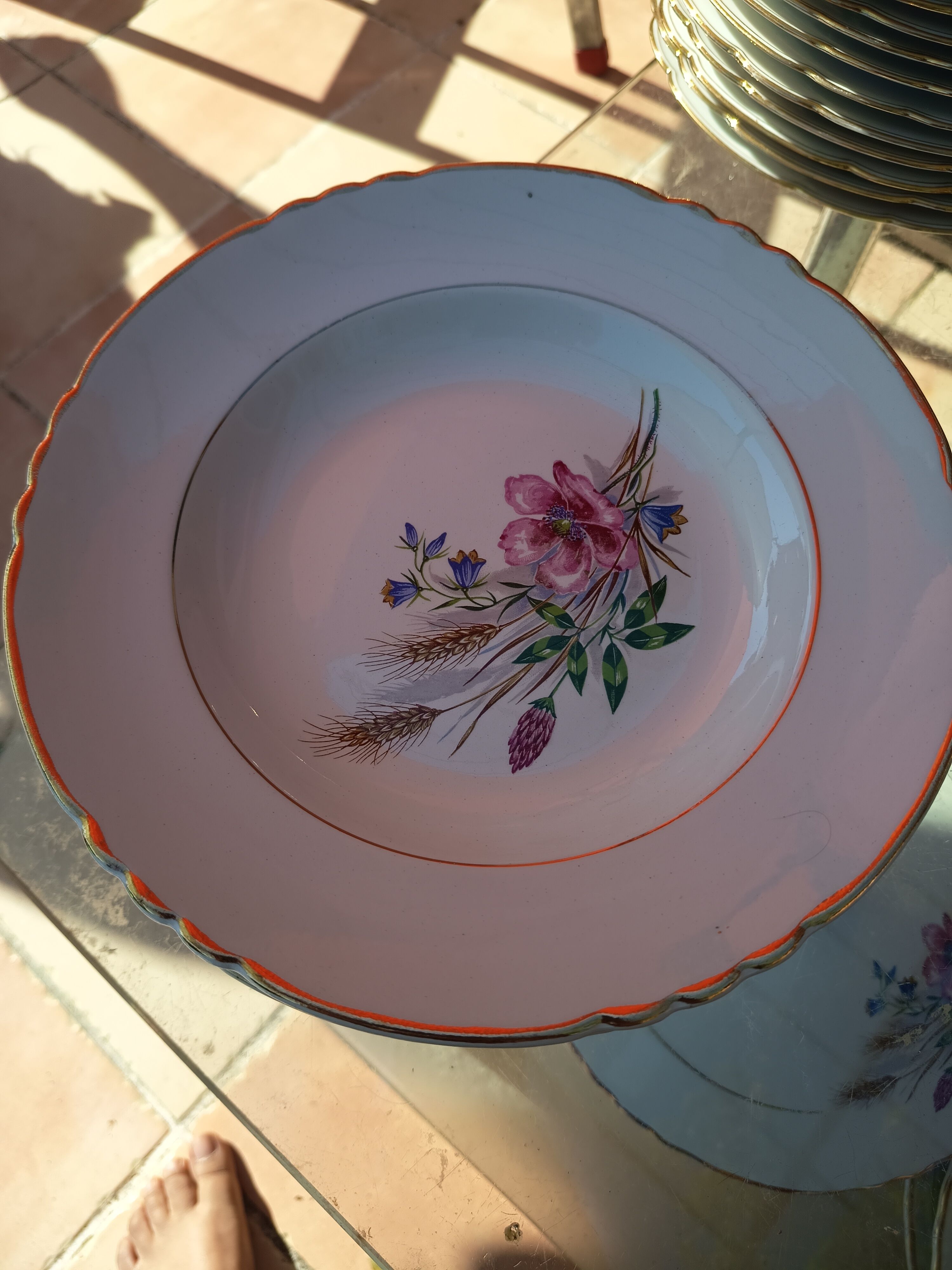 Lot de 14 assiettes creuses champêtre