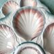 Assiettes à huitres en Majolique, Digoin & Sarreguemines