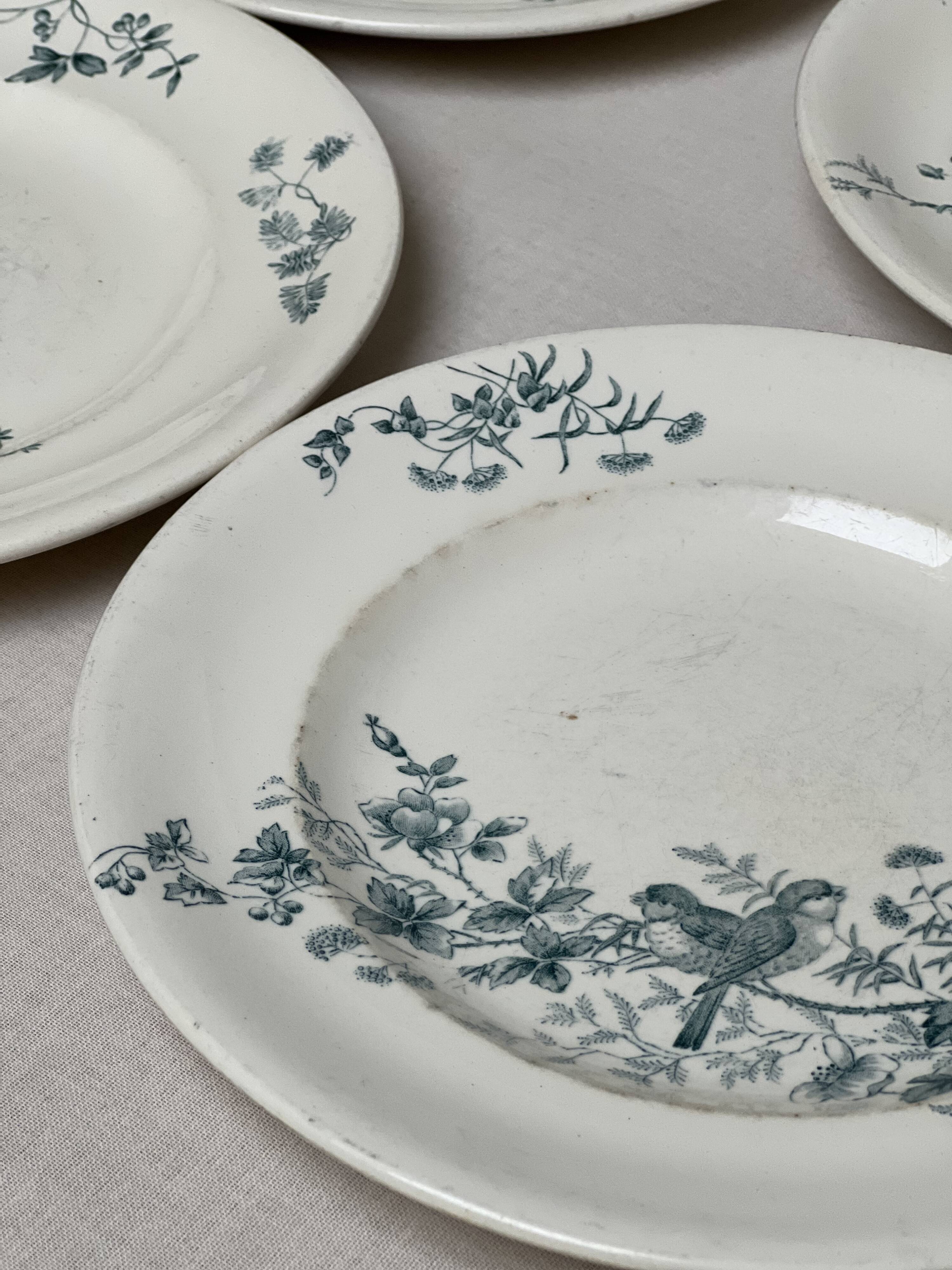 Iron earth plates birds Longwy