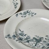 Iron earth plates birds Longwy