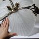 Lustre Hollywood Regency Art Deco vintage 80-90 Bronze Mariner Shells