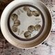 6 dessert plates Sarreguemines Atelier d'Art de Lorraine