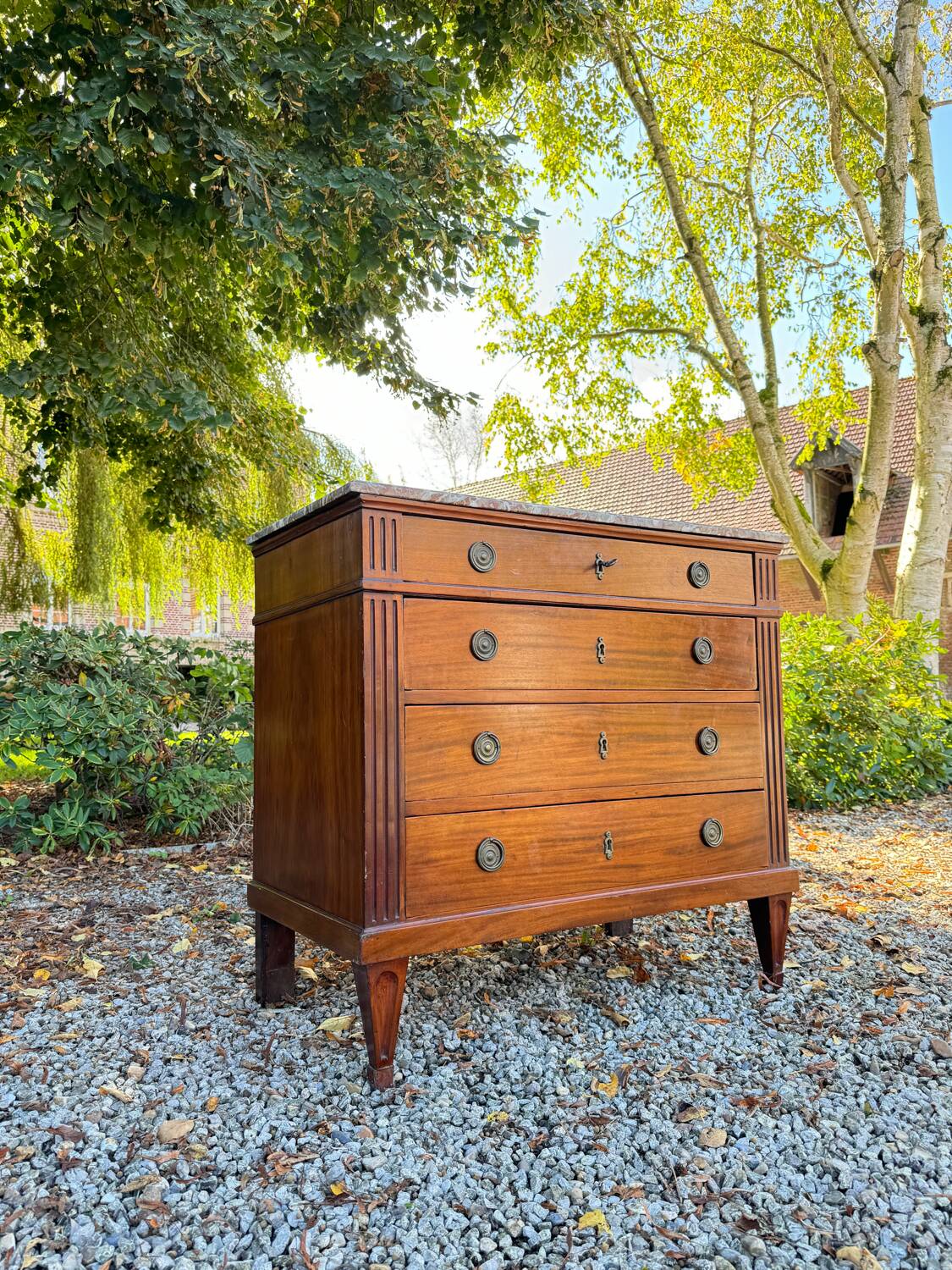 Louis XVI Style Mahogany Chest of Drawers, 19th Century