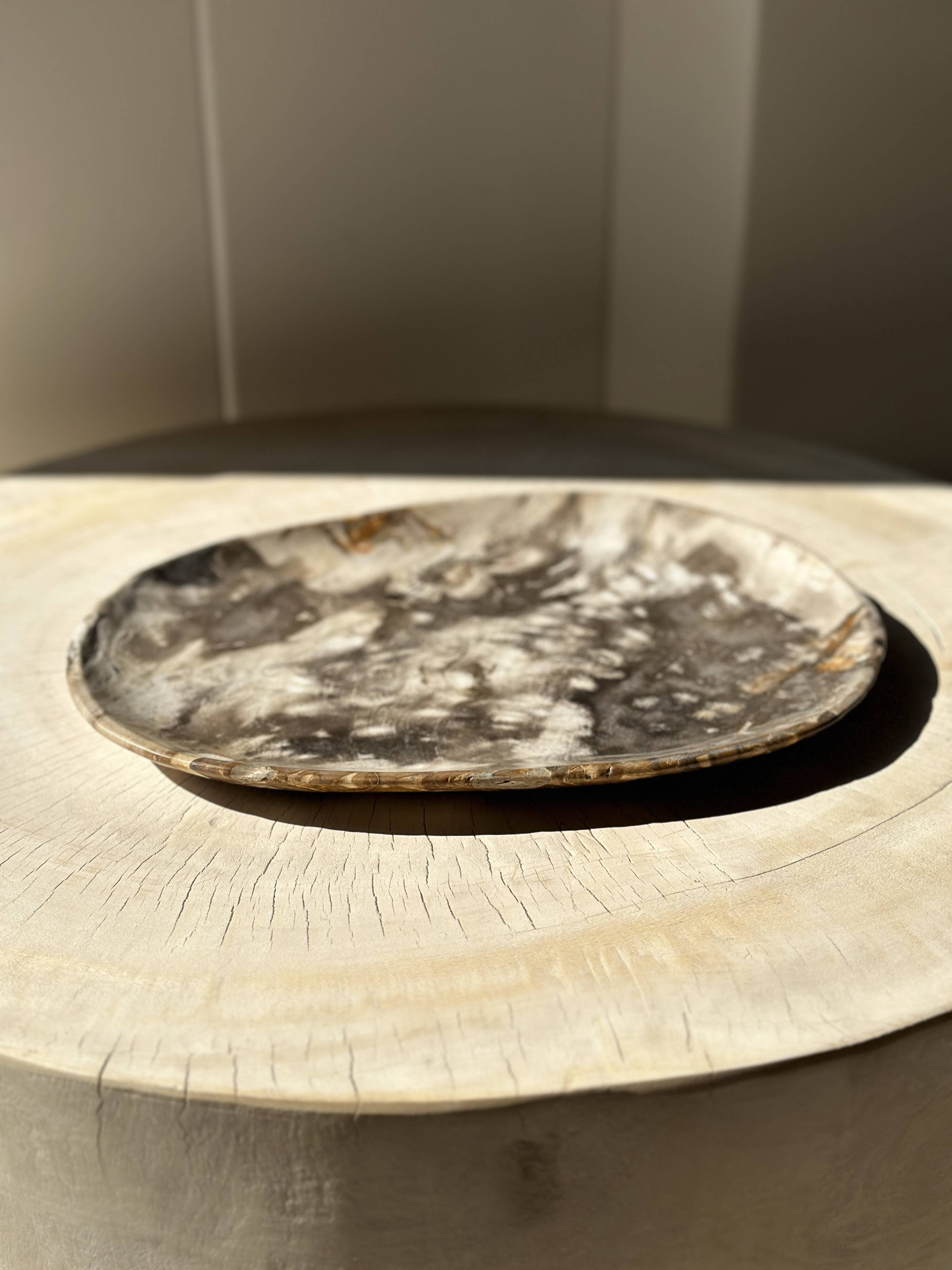 Very large empty pocket or dish in medium light petrified wood 1143