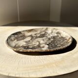 Very large empty pocket or dish in medium light petrified wood 1143