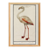 Small poster about the pink flamingo, after an old engraving from 1610.
