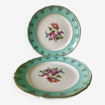 Lot assiettes plates Ceranord St Amand-La Roseraie