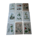 Lot of 9 old naturalist boards