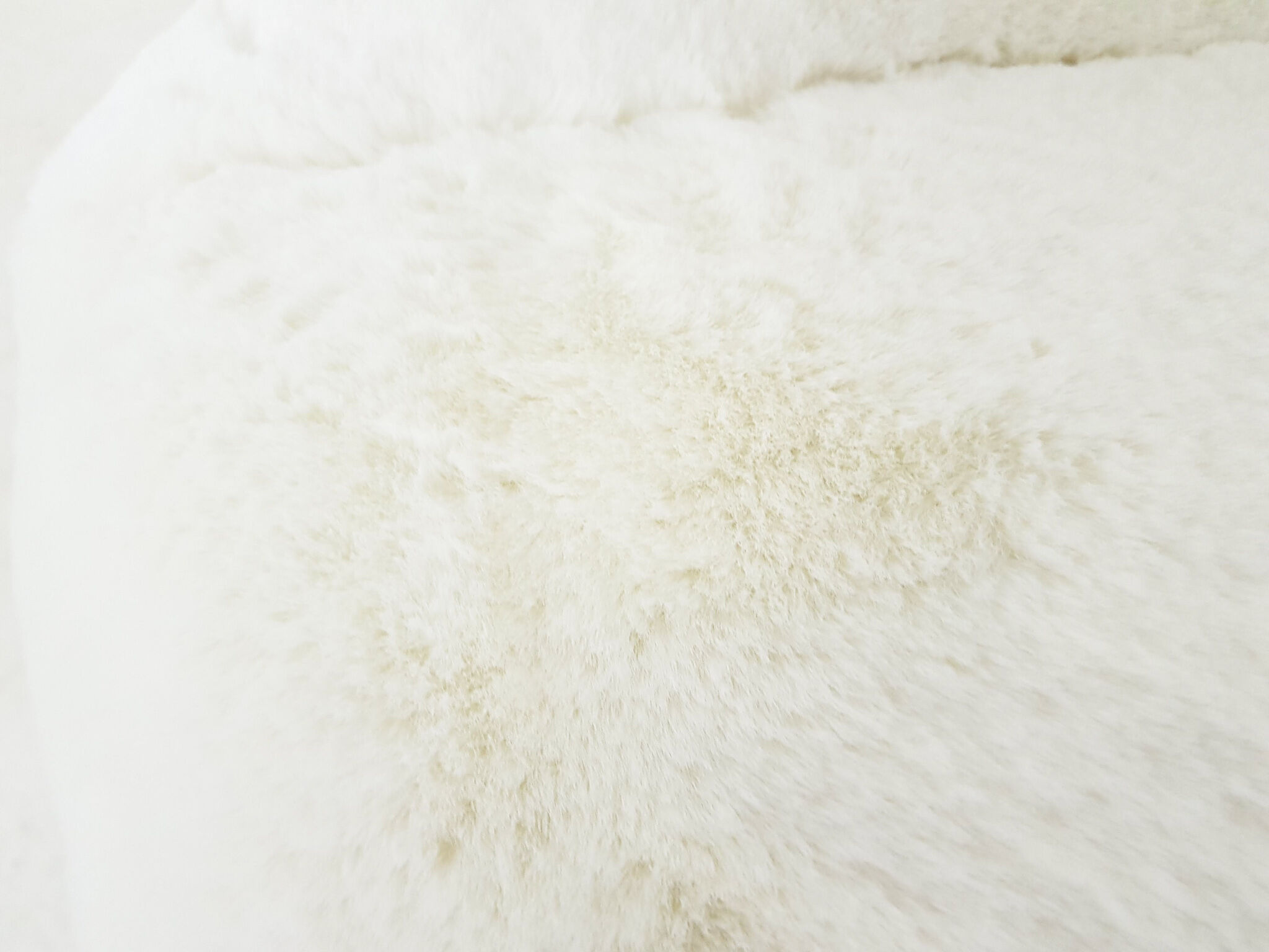 Hartmut Lohmeyer for Artifort lounge chair Model 118 "Columbus", The Netherlands 1957