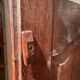 18th Century Welsh cupboard