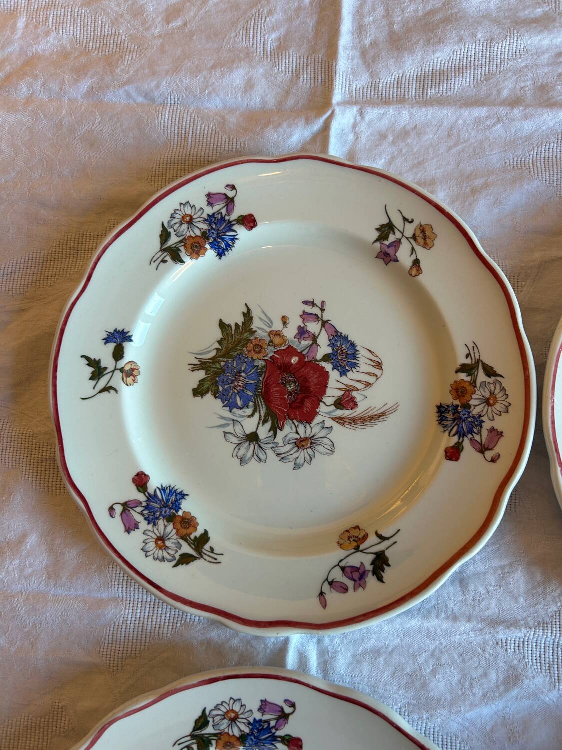 Set of 6 antique plates in porcelain from Sarreguemines – Ag decor