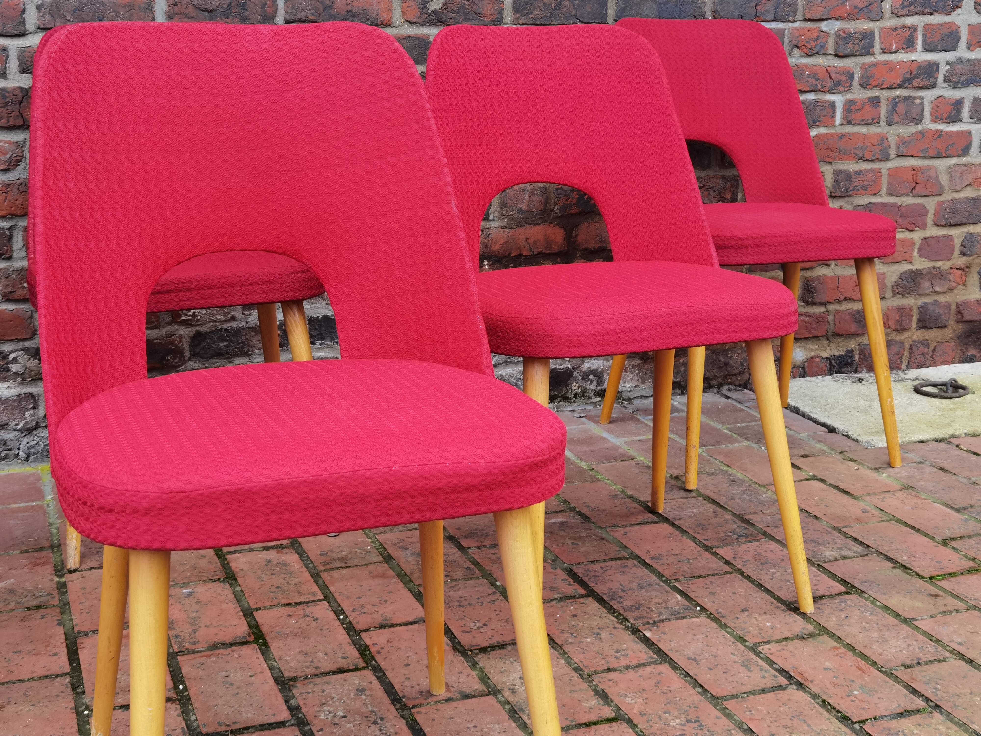 Lot of 6 Oswald Haerdtl chairs for Ton