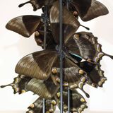 Flight of butterflies under globe.