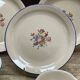 Salins Les Bains earthenware dinner service - 72 pieces