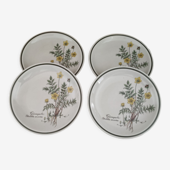 Lot de 4 assiettes à dessert vintage en porcelaine Bavaria Winterling décor fleurs d'officine