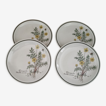 Set of 4 vintage porcelain dessert plates Bavaria Winterling décor officine flowers