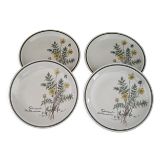 Lot de 4 assiettes à dessert vintage en porcelaine Bavaria Winterling décor fleurs d'officine