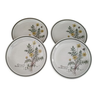 Set of 4 vintage porcelain dessert plates Bavaria Winterling décor officine flowers