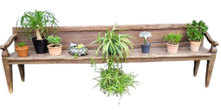 19th-century church pew, 245 cm long